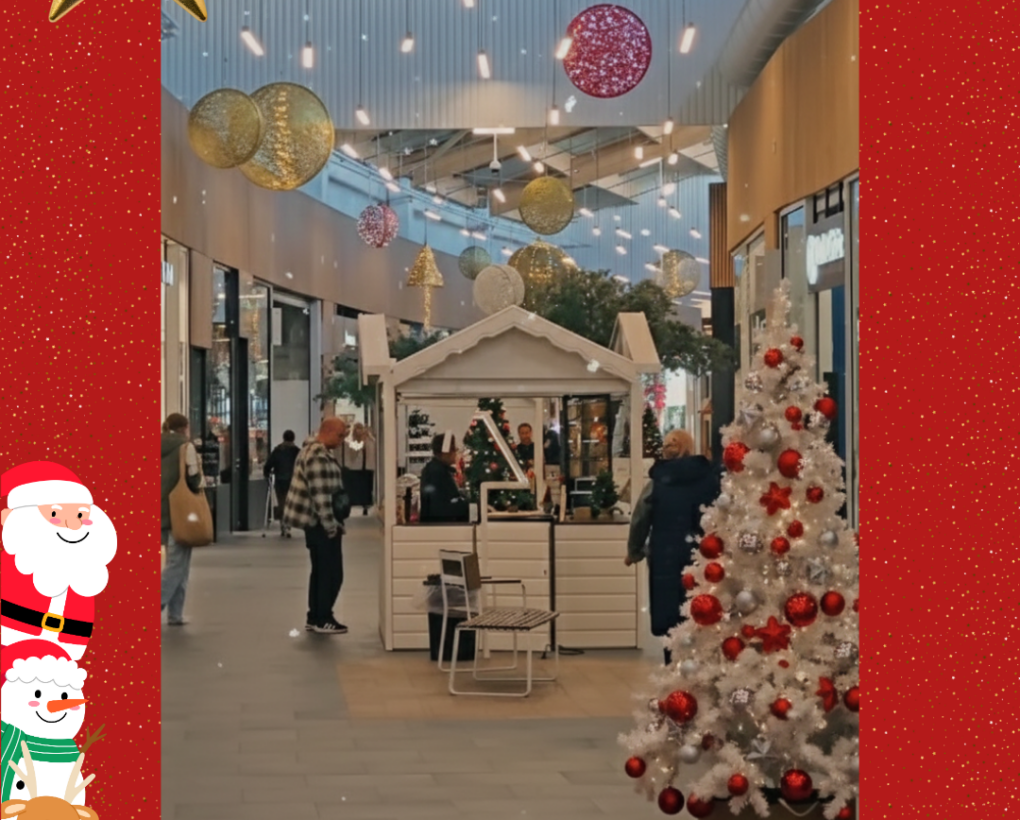 Nos chalets galerie à Carcassonne !