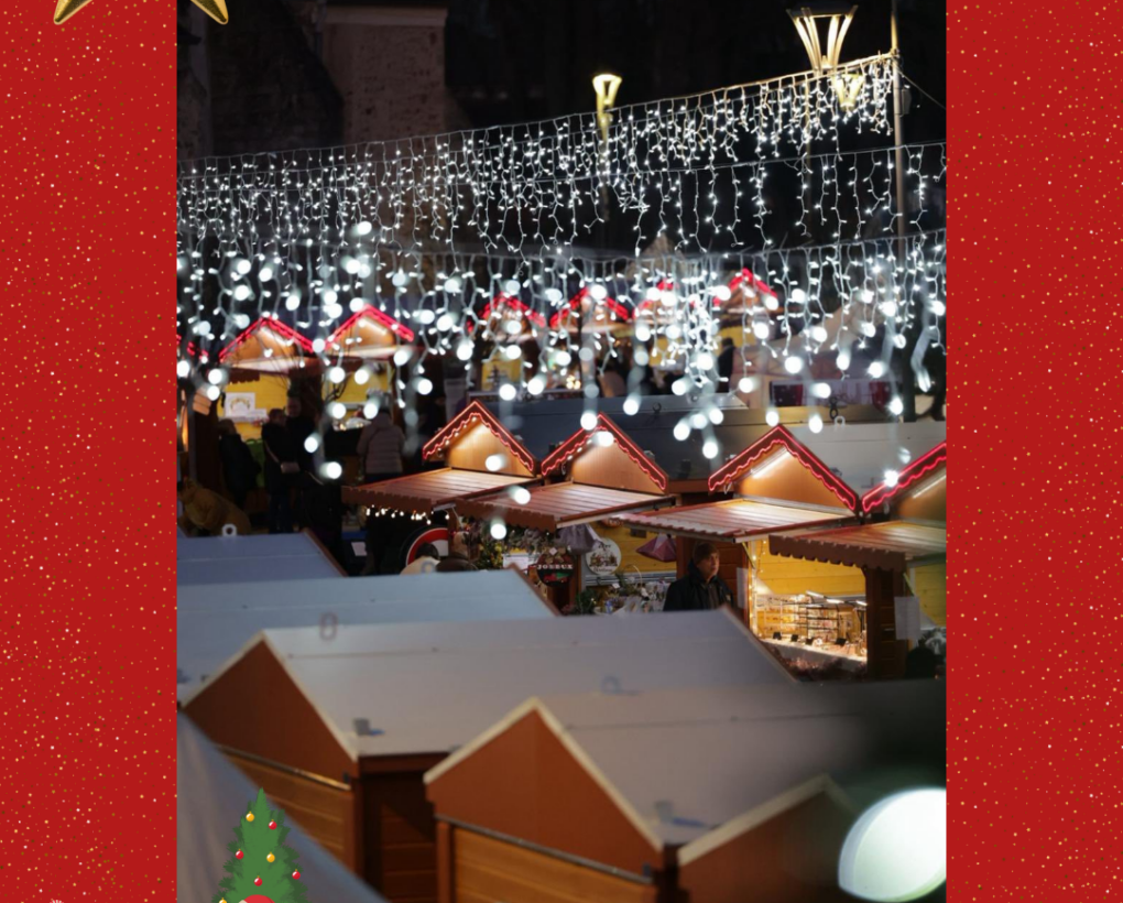 Nos chalets à Lieusaint !